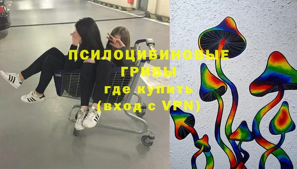 2c-b Богородск