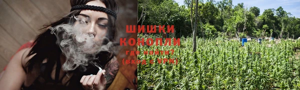ALPHA-PVP Богородицк