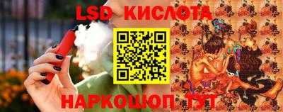 прущие грибы Краснодар