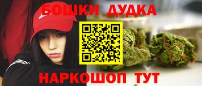 прущие грибы Краснодар