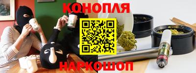 прущие грибы Краснодар