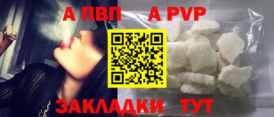 прущие грибы Краснодар